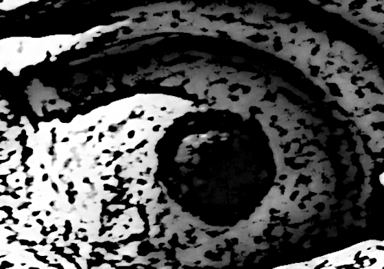 Statue d'un lion gueule ouverte (comme on en trouve beaucoup dans les rues européennes).