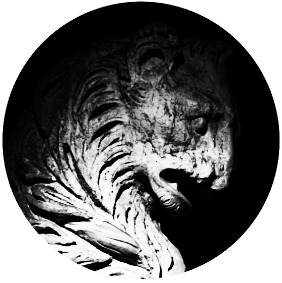 Sculpture usée d'une tête féline antique dans un médaillon circulaire.